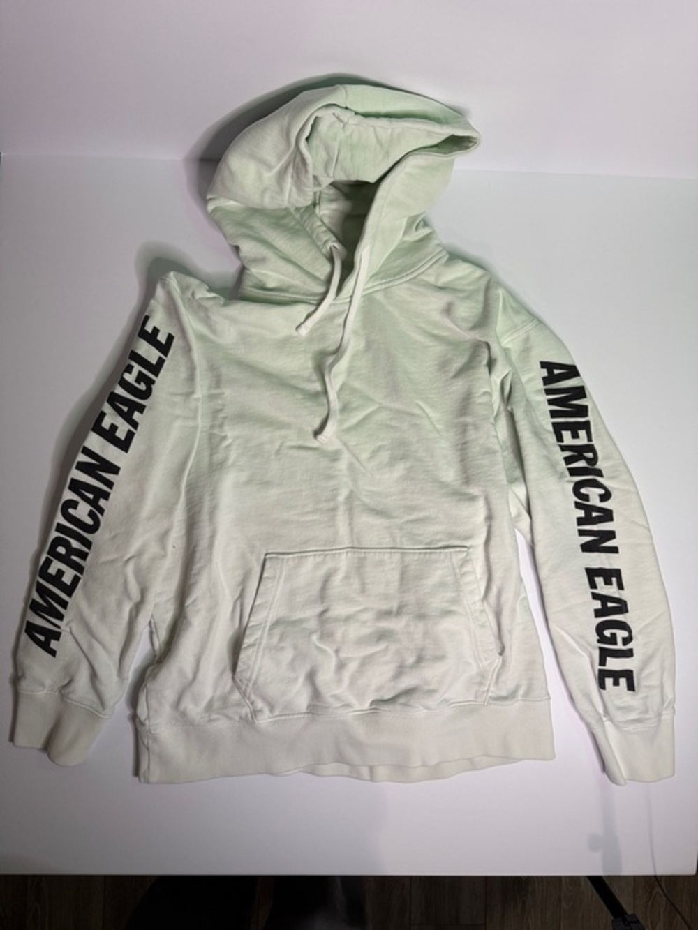 American Eagle Outfitters Pale Mint Hooded‎ Sweatshirt with Sleeve Branding